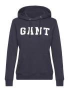 Reg Graphic Hoodie Tops Sweat-shirts & Hoodies Hoodies Blue GANT