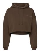 Pro Cropped Sweat Hoodie Tops Sweat-shirts & Hoodies Hoodies Brown H2O...