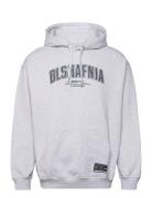 Backstage College Hoodie Designers Sweat-shirts & Hoodies Hoodies Grey...