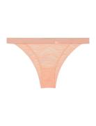 Bikini Lingerie Panties Brazilian Panties  Calvin Klein