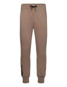 Race Edition Pant Sport Sweatpants Brown Sail Racing