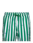 Borg Print Swim Shorts Sport Shorts Green Björn Borg