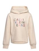 Colour Logo Fleece Hoodie Tops Sweat-shirts & Hoodies Hoodies Cream Ca...