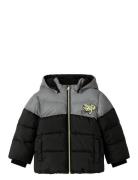 Nmmmorten Puffer Jacket Dino Detail Fôret Jakke Black Name It