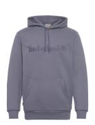 Hampthon Hoodie Folkst Gray Tops Sweat-shirts & Hoodies Hoodies Blue T...