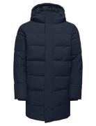 Onscarl Life Long Quilted Coat Otw Noos Fôret Jakke Navy ONLY & SONS