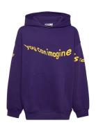 Maxx Tops Sweat-shirts & Hoodies Hoodies Purple Molo