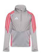 Tiro24 Wintopy Sport Sweat-shirts & Hoodies Sweat-shirts Grey Adidas P...