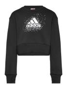 Jg Glm Crew Tops Sweat-shirts & Hoodies Sweat-shirts Black Adidas Spor...