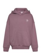 Hoodie Tops Sweat-shirts & Hoodies Hoodies Purple Adidas Originals