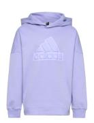 U Fi Logo Hd Tops Sweat-shirts & Hoodies Hoodies Purple Adidas Sportsw...