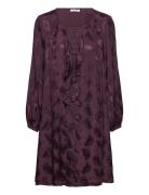 Cwdainora - Dress Knelang Kjole Purple Claire Woman