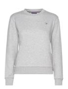 Reg Sweat Tops Sweat-shirts & Hoodies Sweat-shirts Grey GANT