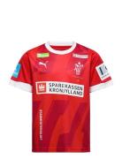 Dansk Håndbold Home Jersey Jr Sport T-shirts Short-sleeved Red PUMA