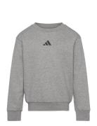 J Allszn Gfx Sw Sport Sweat-shirts & Hoodies Sweat-shirts Grey Adidas ...