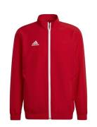 Ent22 Pre Jkt Outerwear Sport Jackets Red Adidas Performance