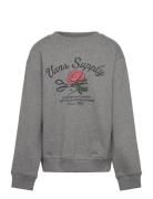 Supply Boutique Crew Tops Sweat-shirts & Hoodies Sweat-shirts Grey VAN...