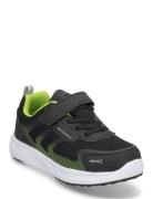 Perry Pax Lave Sneakers Black PAX