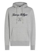 Script Logo Hoody Tops Sweat-shirts & Hoodies Hoodies Grey Tommy Hilfi...