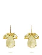 Timo Earrings Øredobber Smykker Yellow Caroline Svedbom