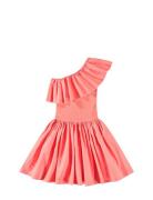 Chloey Dresses & Skirts Dresses Partydresses Pink Molo