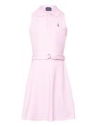 Belted Knit Oxford Polo Dress Dresses & Skirts Dresses Casual Dresses ...