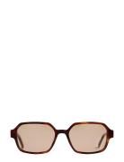 Alex Tortoise Cinnamon Firkantede Solbriller Multi/patterned Corlin Ey...