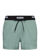 Puma Swim Men Logo Short Shorts 1P Sport Shorts Green Puma Swim