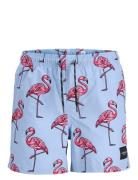 Jpstmaui Jjswim Novelty Aop Akm Sn Jnr Badeshorts Blue Jack & J S