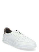 Ace - White/Elephant Leather Lave Sneakers White Garment Project