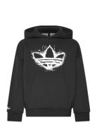 Loose Hoodie Tops Sweat-shirts & Hoodies Hoodies Black Adidas Original...