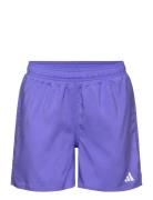 Water React By Sport Swimshorts Purple Adidas Sportswear