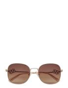 Le Sustain - Metamorphosis Solbriller Brown Le Specs