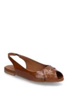 Ballerina Ballerinasko Ballerinaer Brown Billi Bi