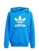 Trefoil Hoodie Tops Sweat-shirts & Hoodies Hoodies Blue Adidas Origina...