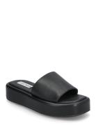 Beachy Slides Sandaler Badetøfler Slip-in Black Steve Madden