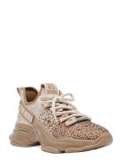 Mistica Sneaker Lave Sneakers Gold Steve Madden