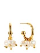 Palma Mini Hoop Accessories Jewellery Earrings Hoops Gold By Jolima