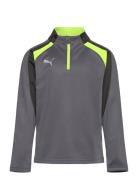 Individualliga 1/4 Zip Top Jr Tops T-shirts Long-sleeved T-shirts Grey...