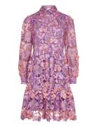 Star Ls Dress Kort Kjole Purple Noella