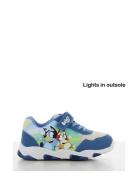 Bluey Sneakers Lave Sneakers Blue Bluey