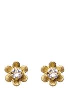 Juni Stud Earrings Gold Accessories Jewellery Earrings Studs Gold Caro...