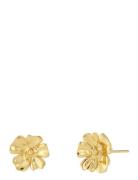 Floral Studs S Accessories Jewellery Earrings Studs Gold Edblad