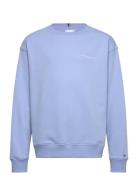 Mini Corp C-Neck Sweatshirt Tops Sweat-shirts & Hoodies Sweat-shirts W...