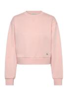 A - Cropped Badge Logo Sweatshir Tops Sweat-shirts & Hoodies Sweat-shi...
