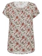 Sc-Samea Tops Blouses Short-sleeved Brown Soyaconcept