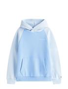 Mini Corp Logo Hoodie Tops Sweat-shirts & Hoodies Hoodies Blue Tommy H...