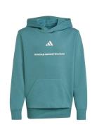 B Fl Hd Tops Sweat-shirts & Hoodies Hoodies Blue Adidas Sportswear