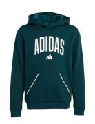 J Clgt Oh Fl Hd Tops Sweat-shirts & Hoodies Hoodies Green Adidas Sport...