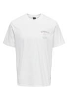Onskye Reg Photo Ss Tee Tops T-shirts Short-sleeved White ONLY & SONS
